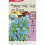 forget_me_not.png